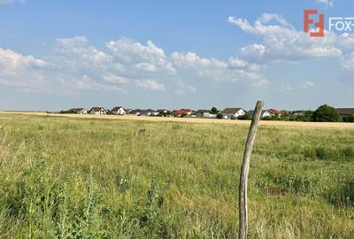 Teren Construcții intravilan de 610 mp, în Sânandrei - 2