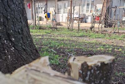 Refugiu la ?ara, aproape de Bucure?ti casa tradi?ionala cu teren 3.113 mp - 2
