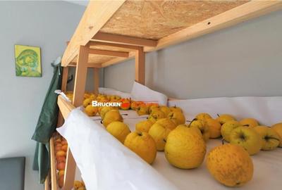 MICRO-FERMA CASA IN VOIVOZI - BIHOR - 16