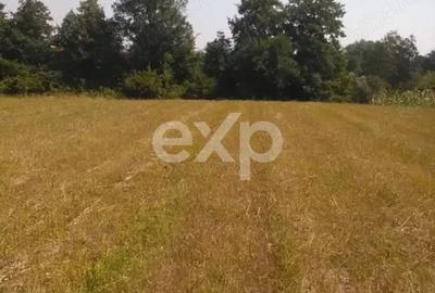 Teren Construcții intravilan de 5000 mp, în Big-Bascov - 3