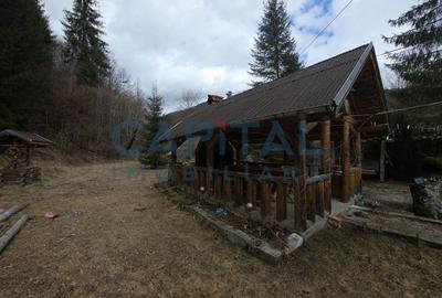 Cabana la munte Rucar / Satic - 7