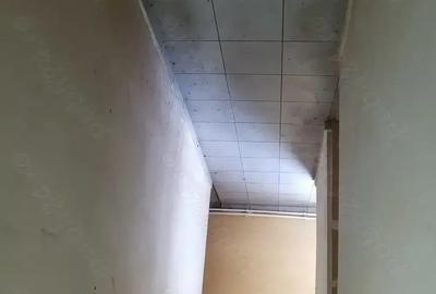 Inchiriez spa?iu in parc industrial Areli Satu Mare - 2