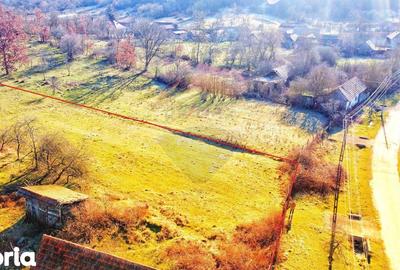 Casă cu 4 camere cu Teren 10486 Mp în Ohaba Lungă - 3