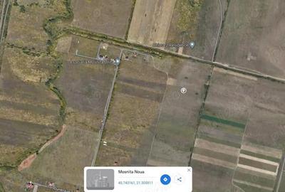 Teren de 5000 mp, în Moșnița Veche - 3