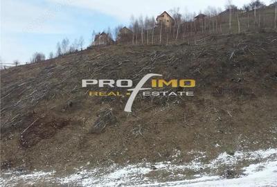 Teren de 3750 mp, în Moieciu - 4