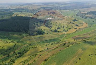 Teren agricol extravilan de 3000000 mp, în Zlagna - 2
