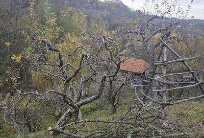 Casă cu 4 camere în Văleni-Dâmbovița - 5
