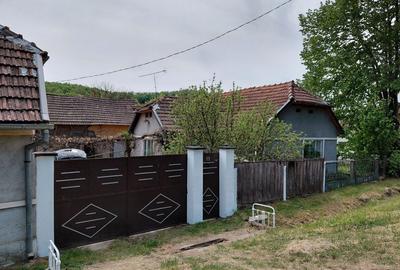 Casă cu 4 camere în Căpruța - 2