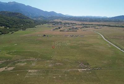 Teren extravilan Rasnov - 8