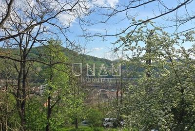 Casă cu Teren 540 Mp în Muncitoresc - 4