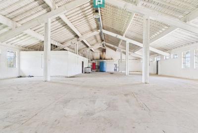 Hale 1800 mp fiecare – acces autostradă, Teiu, HD - 3