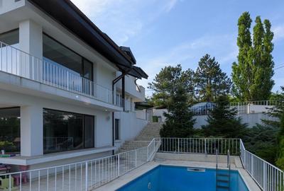 Vila eleganta pe malul lacului| Ponton si piscina| Snagov - 18