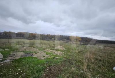 Teren de 1184 mp, în Abator - 3