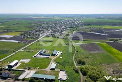 Teren în Crânguri - 11