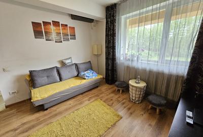 Apartament cu 2 camere semidecomandat, mobilat în Mihai Bravu - 6
