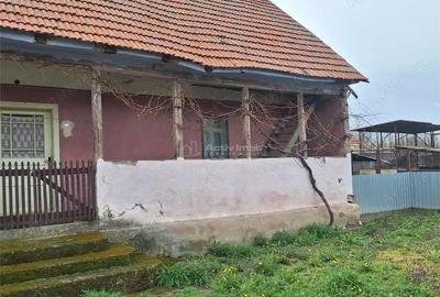 Casă cu Teren 4636 Mp în Central - 5