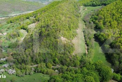 Spațiu comercial, în Pădure - 1