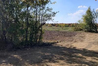 Teren de 3050 mp, în Ordoreanu - 2