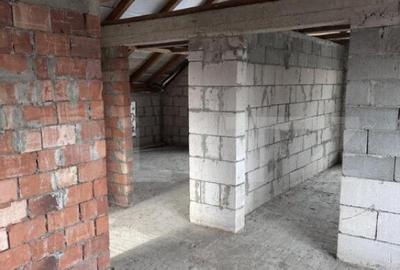 Casa la ro?u Mana?turel ,teren generos,priveli?te pano - 25