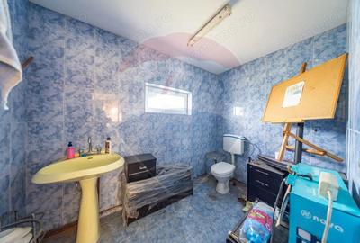 Spa?iu industrial cu potential de vanzare in Paulis,Arad - 14