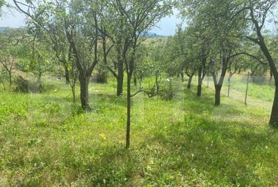 Teren intravilan 2774 mp, zona Dobrogeanu Gherea - 6