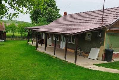Casa Uileacu de munte - 3