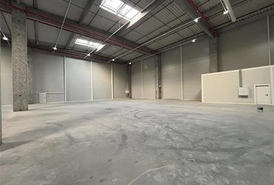 Vanzare depozit/hala/spatiu industrial Theodor Pallady - A2 - 5