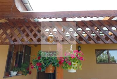 Casă individuală cu 3 camere cu Canalizare în Hănțești - 25