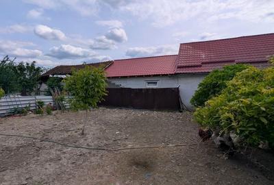 Casă cu 4 camere cu Teren 1098 Mp în Chișineu-Criș - 10