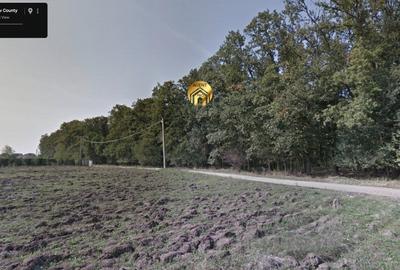 Teren intravilan 15.000mp langa FRF si Padure - Mogosoaia - 6