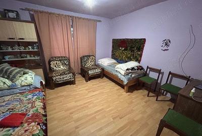 Casa de vanzare in Sannicolau Roman - 2