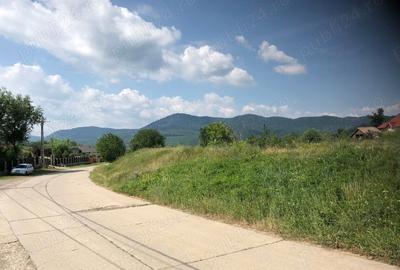 Teren de 5470 mp, în Ciritei - 4