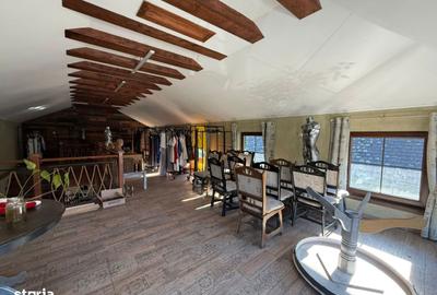 Spațiu comercial, de 385 mp, în Ciumbrud - 13