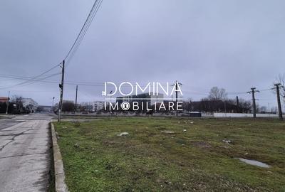 Teren Construcții intravilan de 5173 mp, în Est - 3