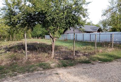 Mereni de Sus, apropiere Videle, 55 km Bucuresti - 1