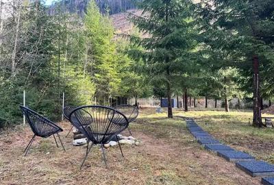 Vand cabana la munte - Lunca Vi?agului, Valea Draganului - 3