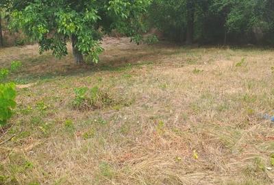 Teren de 470 mp, în Gălăteni - 8