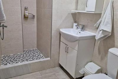 Ofer spre inchiriere garsoniera in zona Drumul Taberei - 4