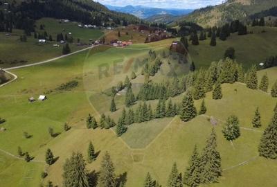 Teren agricol extravilan de 14318 mp, în Panaci - 3