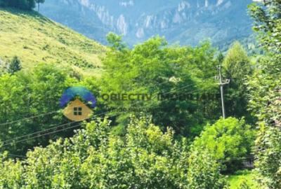 TEREN Izvoru Muntelui, langa orasul BICAZ - 3