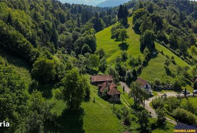 Casă cu 2 camere decomandat cu Teren 4300 Mp în Bran - 12