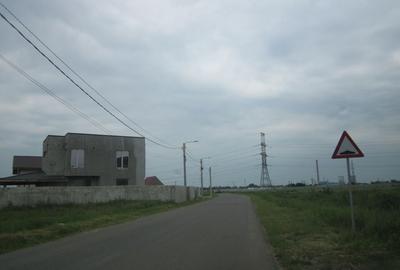 Domnesti-Narciselor. - 5