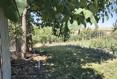 Casa saseasca de vanzare Zabrani, Arad - 2