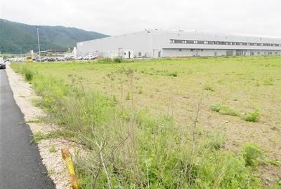 Teren pentru hale-Ghimbav-Joysonquin - 1