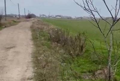 De Vanzare Teren Intravilan 13.630mp, Strada Castanilor Magurele - 4