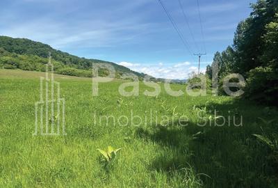 Teren generos de 10.000 mp la iesirea din localitatea Bradu, directia Fagaras - 1
