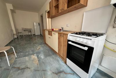 Apartament cu 1 camera Visan - 3