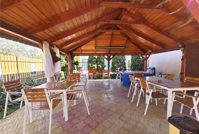 PROPRIETATE CU AFACERE FUNCTIONALA DE - PETREU, LANGA MARGH - 8