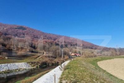 Teren extravilan - Sita Buzaului -6800 mp posibilitate trece - 2