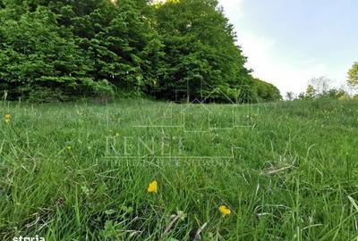 Spațiu comercial, în Bascov